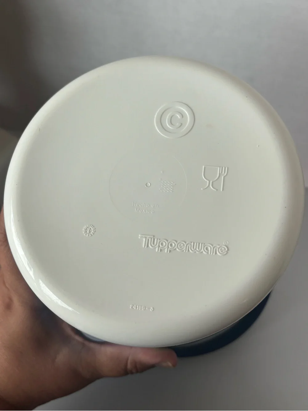 Tupperware Canister Exclusive Peacock Design 12 cup C Seal Blue